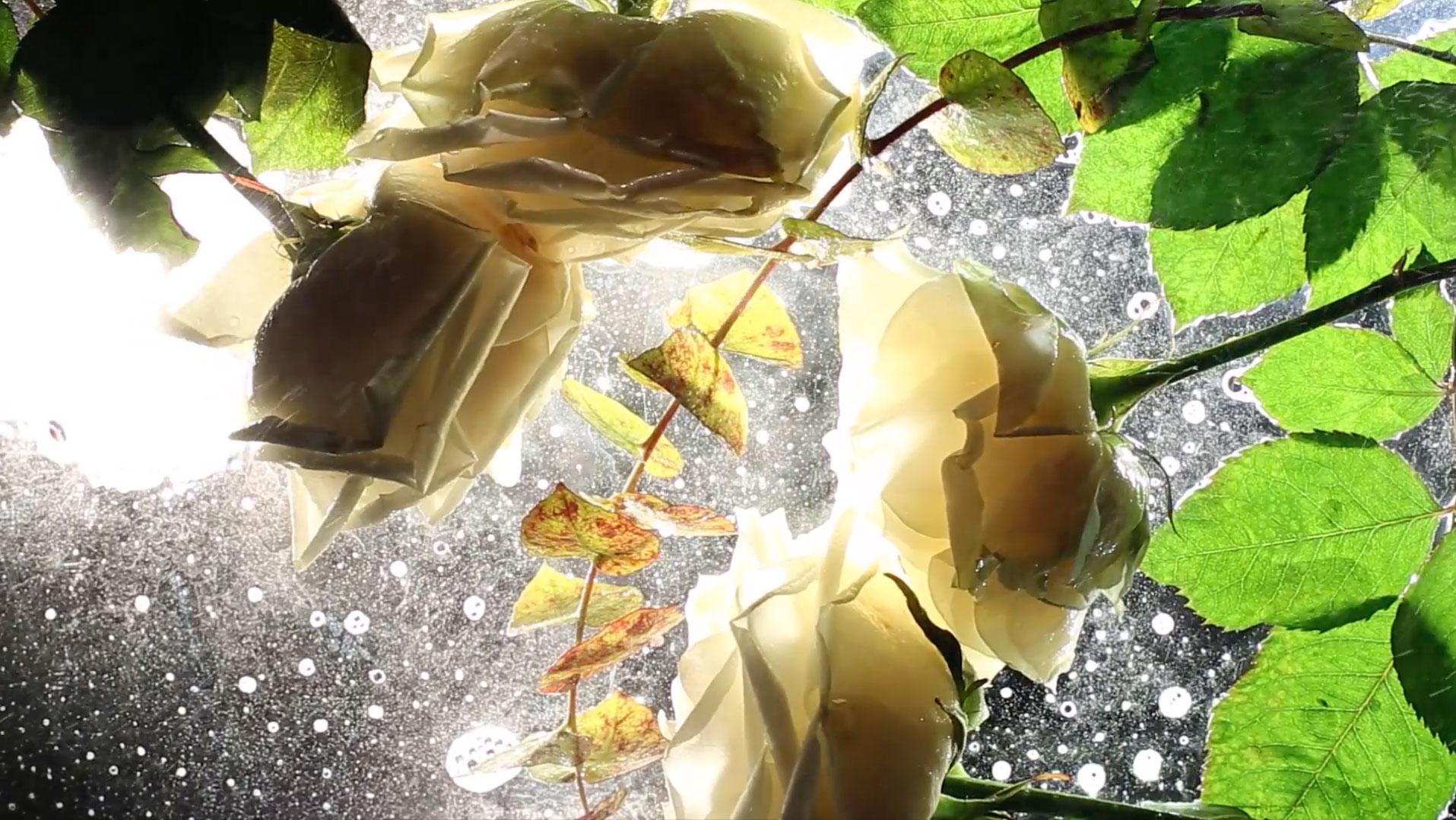 Maison J. C. Boisset  About Burgundy